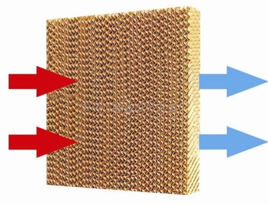 Water Evaporative Cooling Pad Curtain System For Swine Farm Greenhouse